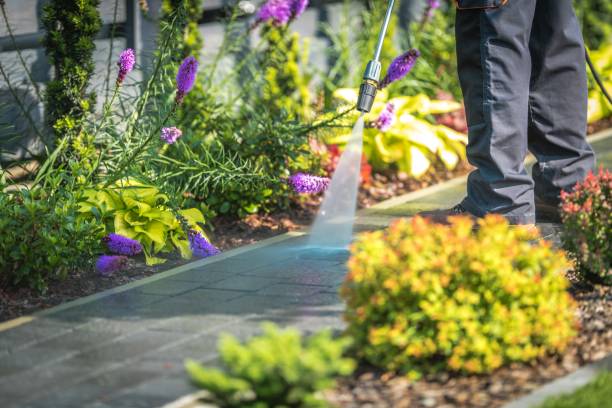 Best Pre-Holiday Cleaning  in Carrollton, IL